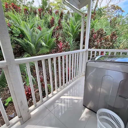 Paunch Beach Retreat Bocas Town Room photo